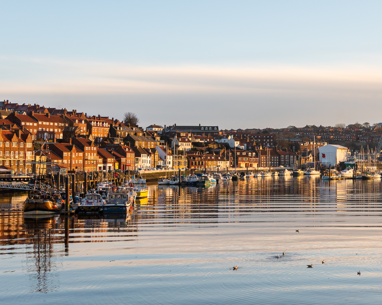 Whitby background
